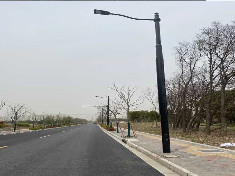 郫都区上海综合杆 太阳能路灯工程